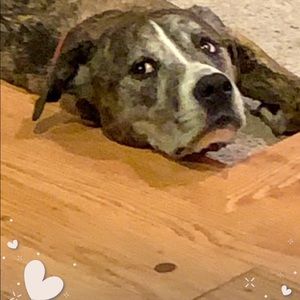 Meet your Posher, Gretchen